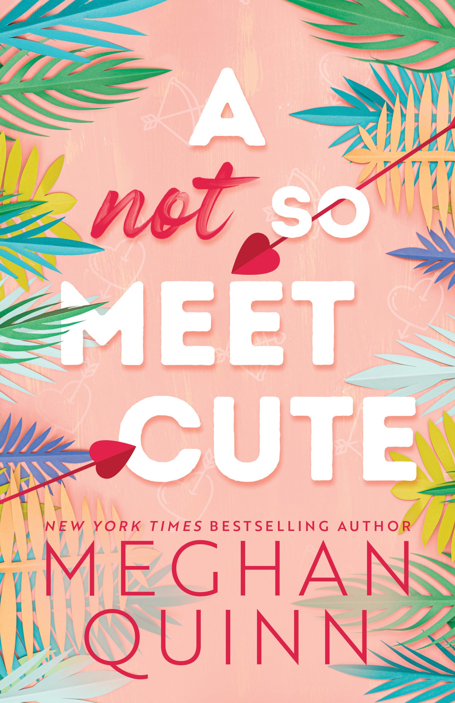 A Not So Meet Cute (Cane Brothers #1)
