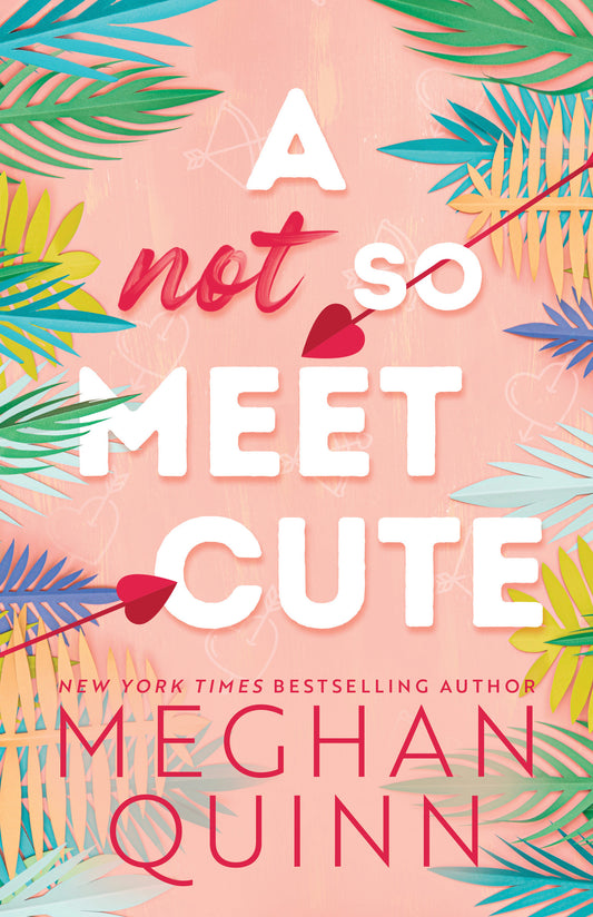 A Not So Meet Cute (Cane Brothers #1)