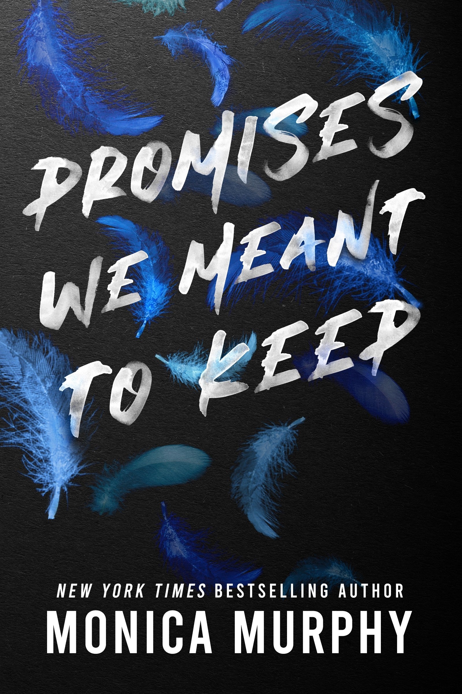 Book cover of 'Promises We Meant to Keep' with blue feathers on a black background